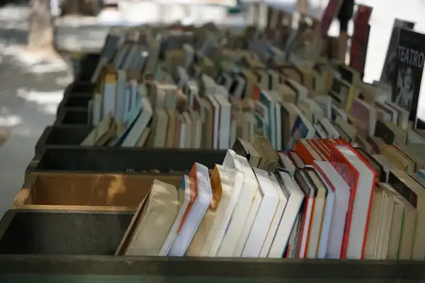 Second-hand books standing in rows of wooden crates at an outdoor book stall