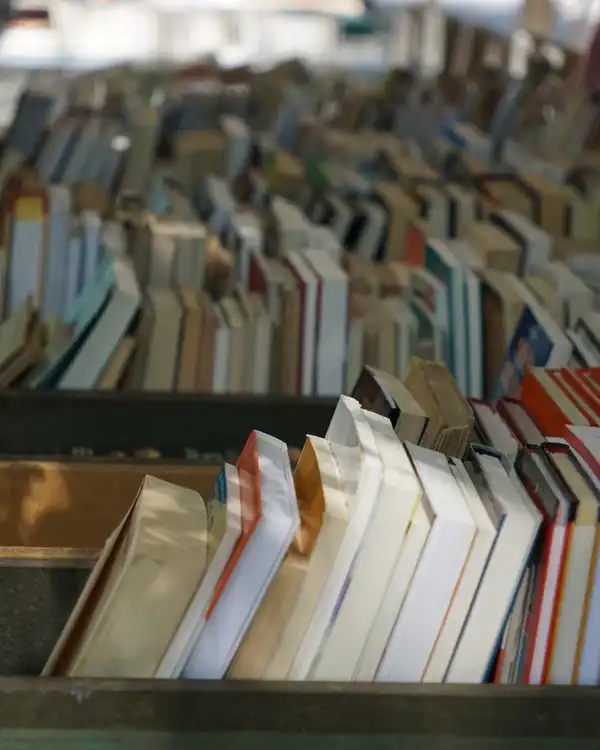 Second-hand books standing in rows of wooden crates at an outdoor book stall